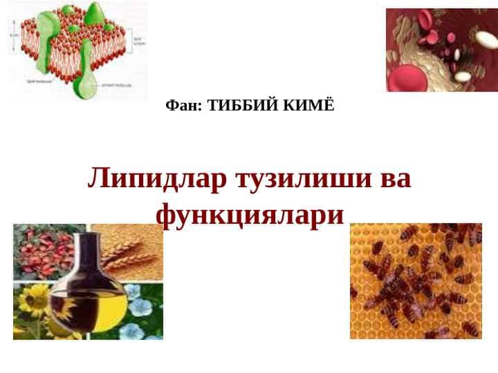Lipidlar tuzilishi va funksiyalari | Липидлар тузилиши ва функциялари