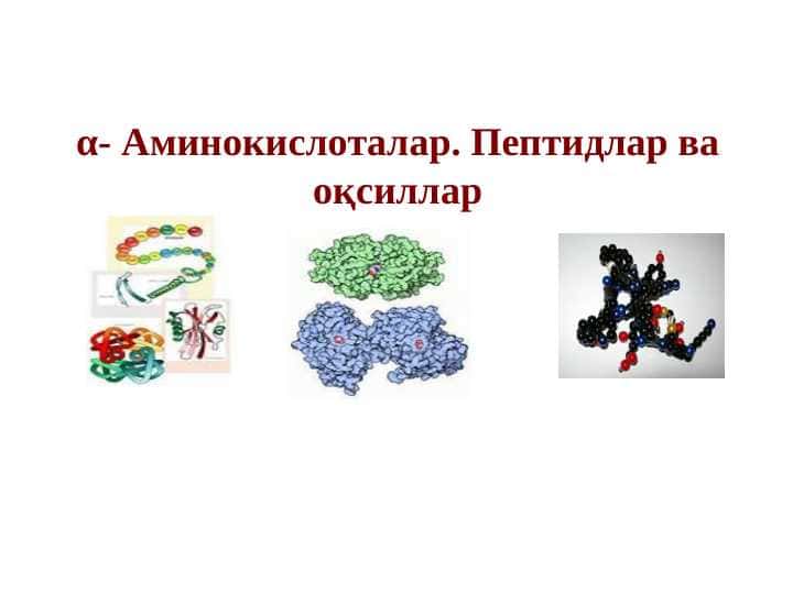Aminokislotalar. Peptidlar va oqsillar | Аминокислоталар. Пептидлар ва оқсиллар