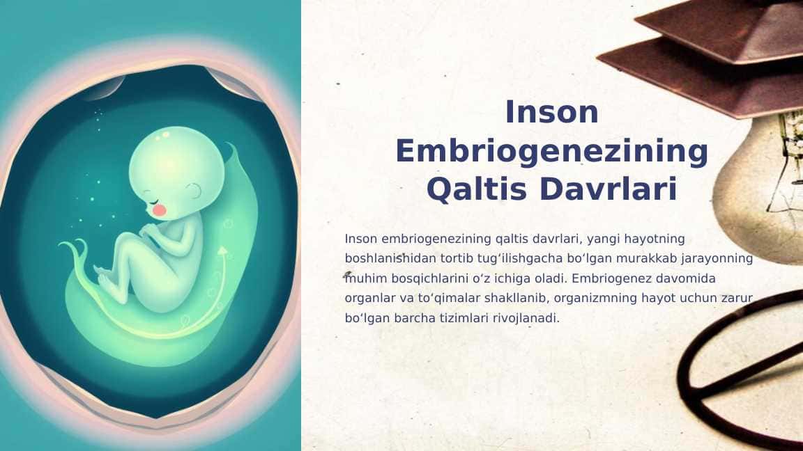 Inson Embriogenezining Qaltis Davrlari