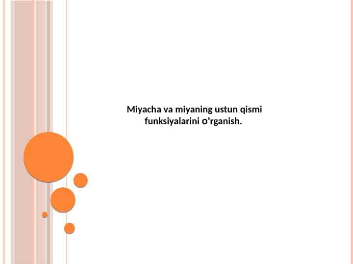 Miyacha va miyaning ustun qismi
funksiyalarini o'rganish.