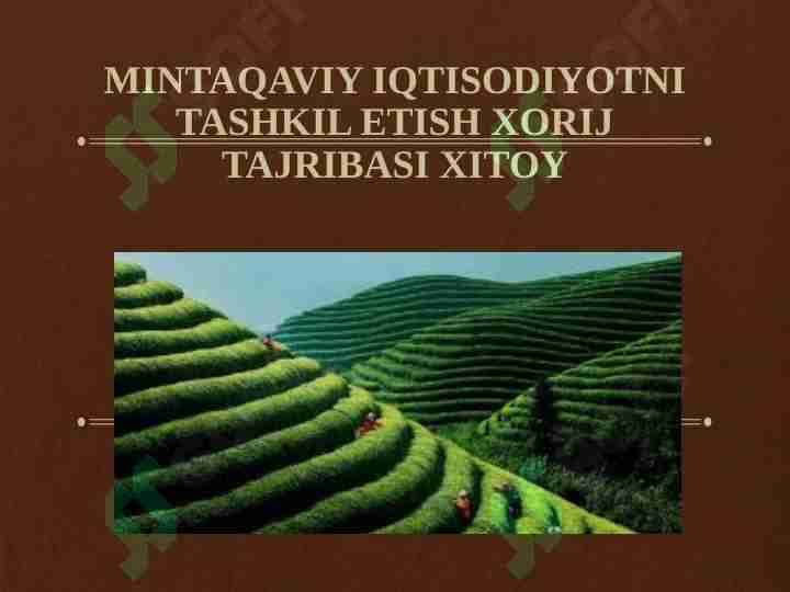 mintaqaviy iqtisodiyotni tashkil etish xorij tajribasi Xitoy