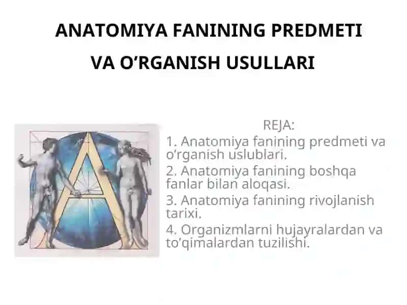 АNАTОMIYA FАNINING PRЕDMЕTI VА O’RGАNISH USULLАRI