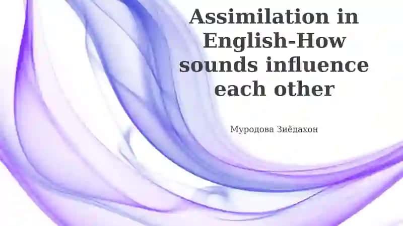 Understanding Assimilation: Definition and Types