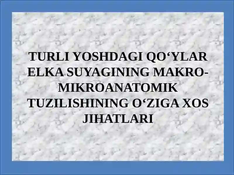TURLI YOSHDAGI QO‘YLAR ELKA SUYAGINING MAKRO-MIKROANATOMIK TUZILISHINING O‘ZIGA XOS JIHATLARI