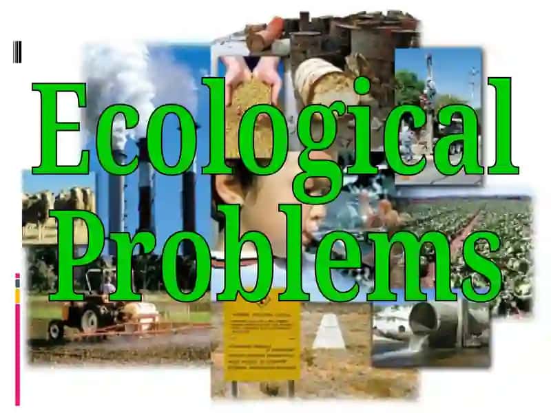 Ecology