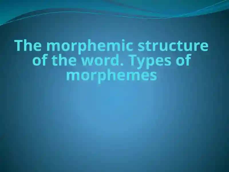 The morphemic structure of the word