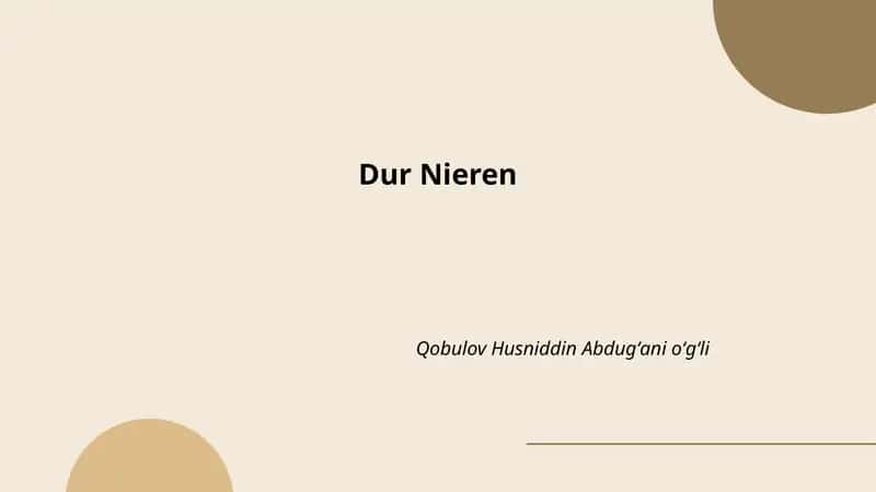 Nierenfunktion und Gesundheit