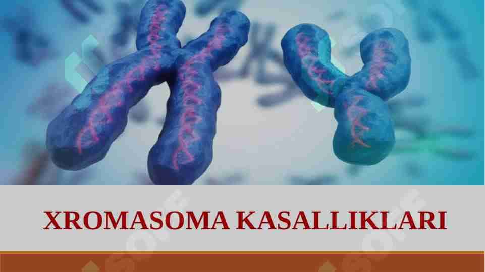XROMASOMA KASALLIKLARI
