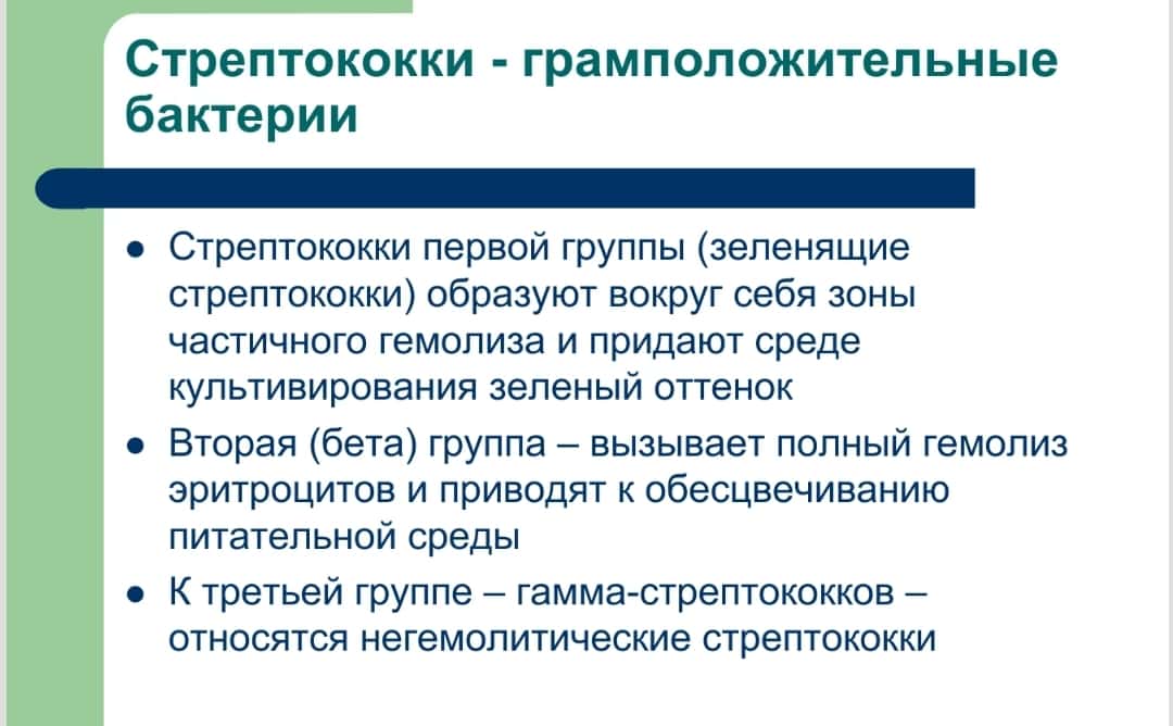 Современный взгляд на методы диагностики и принципы терапии А-стрептококковой инфекции ротоглотки