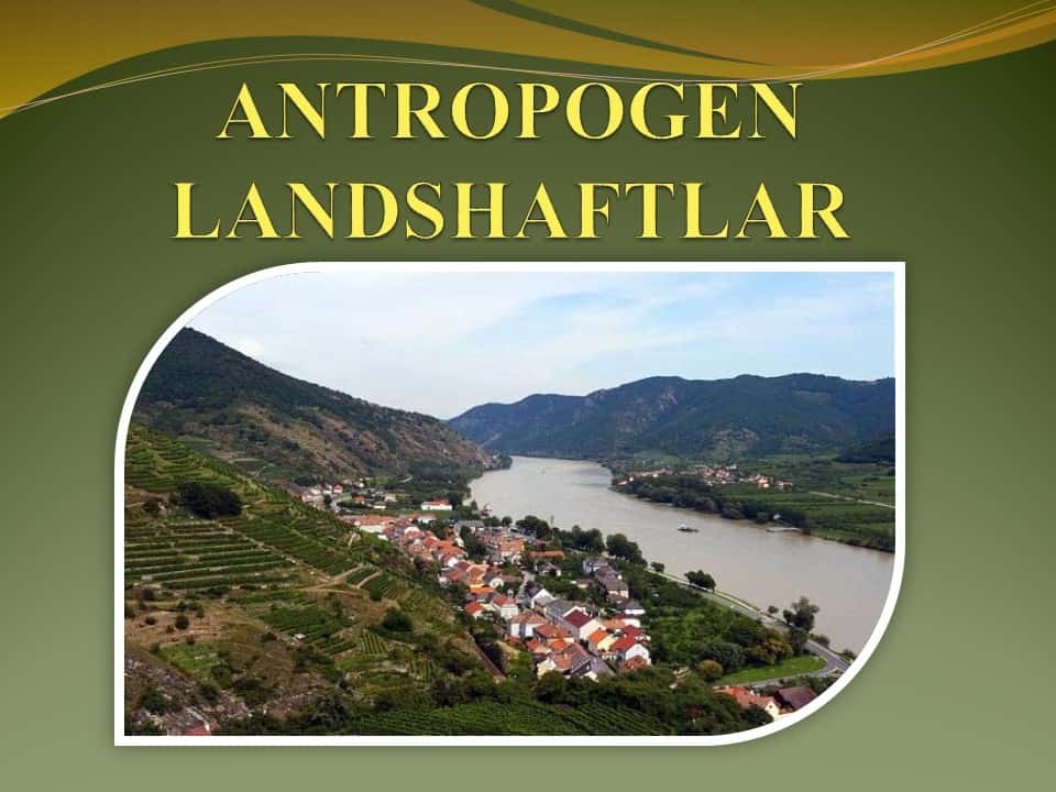 ANTROPOGEN LANDSHAFTLAR
