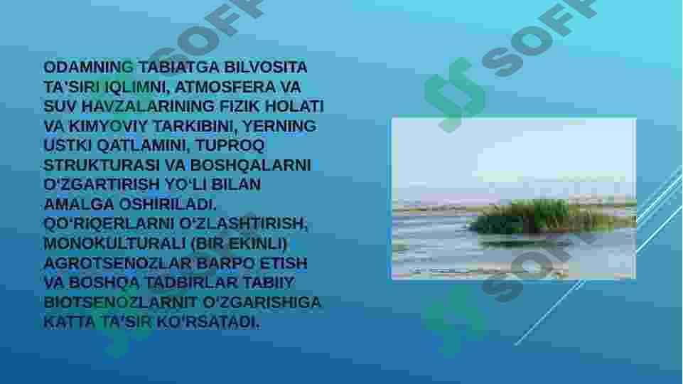 TUPROQ QOPLAMINING ANTROPOGEN OMILLAR TASIRIDA IFLOSLANISH MUAMMOLARI