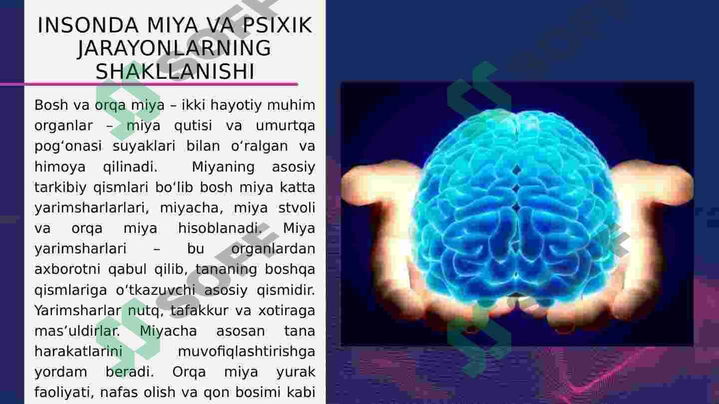 Miya va psixikaning o’zaro munosabat muammolari