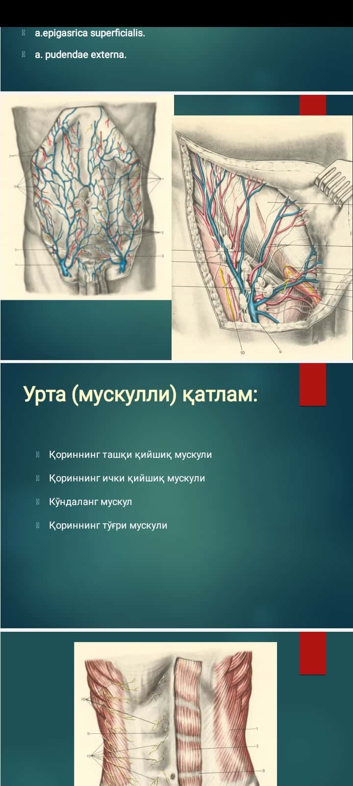 Xirurgik stomani parvarish qilish