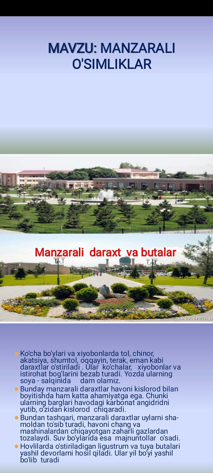 MANZARALI O'SIMLIKLAR