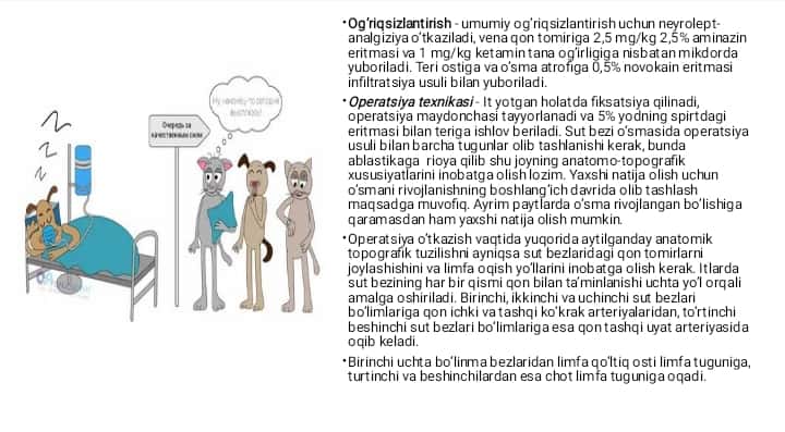 XIZMAT HAYVONLARINING AKUSHER-GINEKOLOGIK KASALLIKLARI