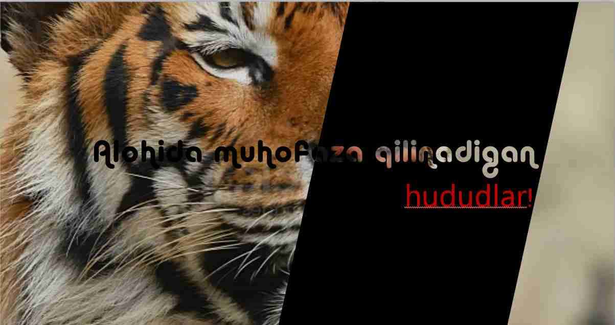 Alohida muhofaza qilinadigan hududlar