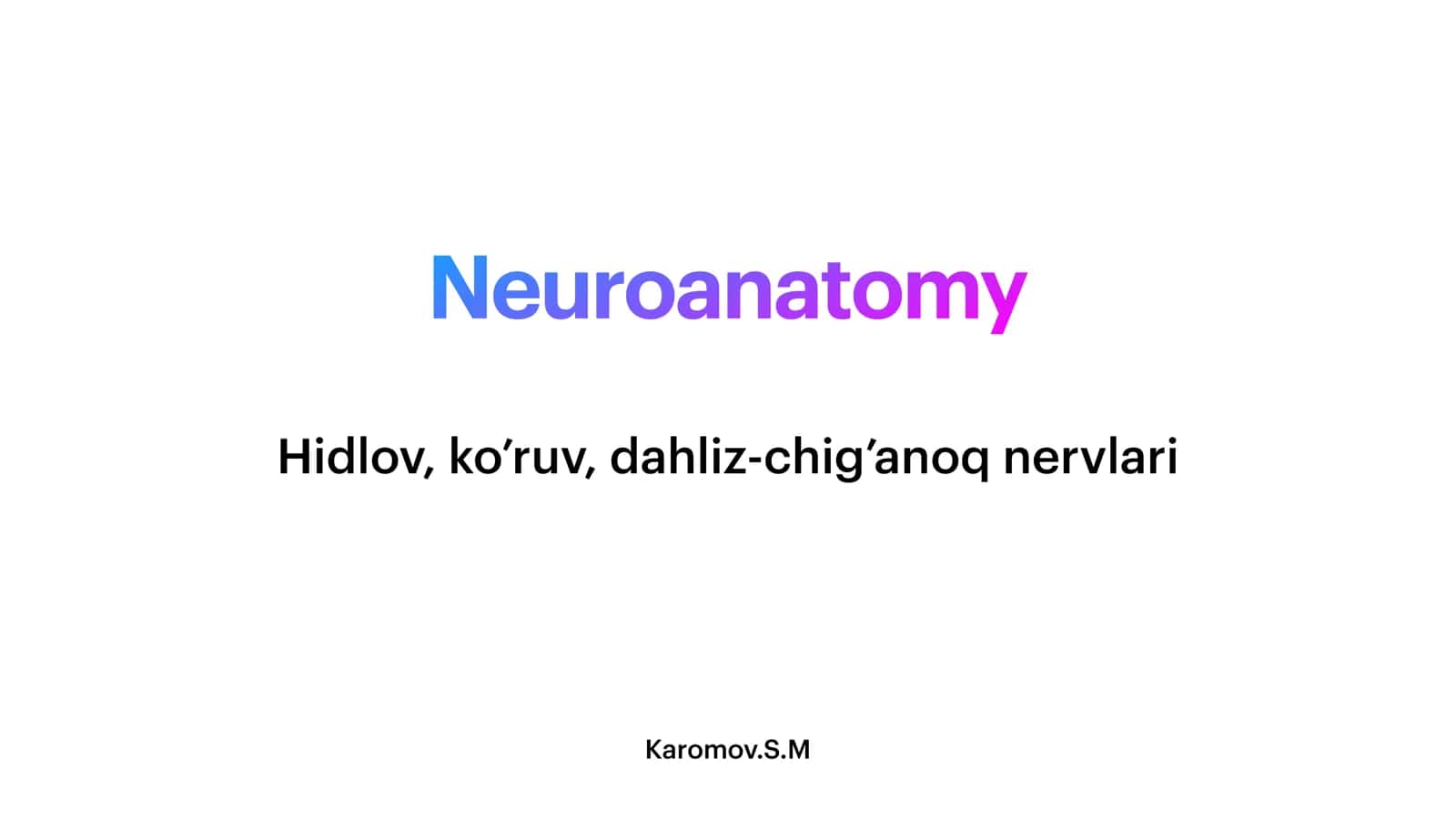 Neuroanatomy