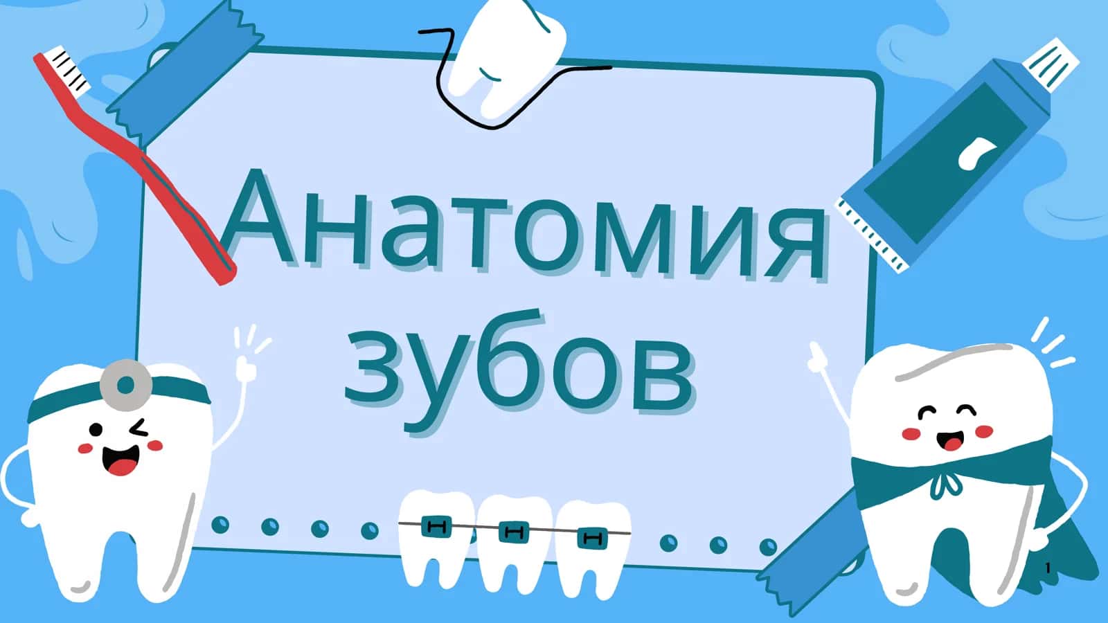 Анатомия зубов по эндодонтичемким критериям