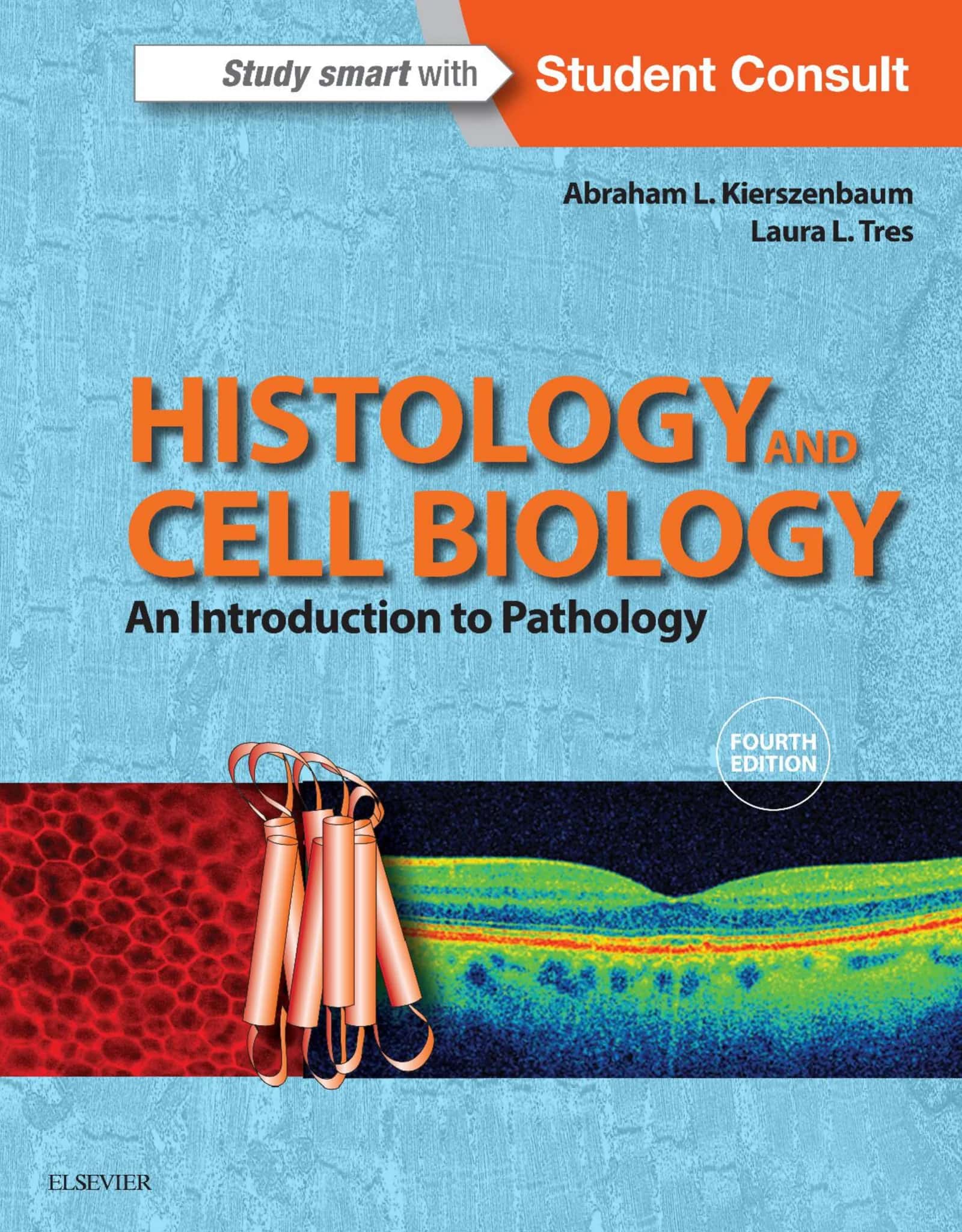 HISTOLOGY AND CELL BIOLOGY: AN INTRODUCTION TO PATHOLOGY