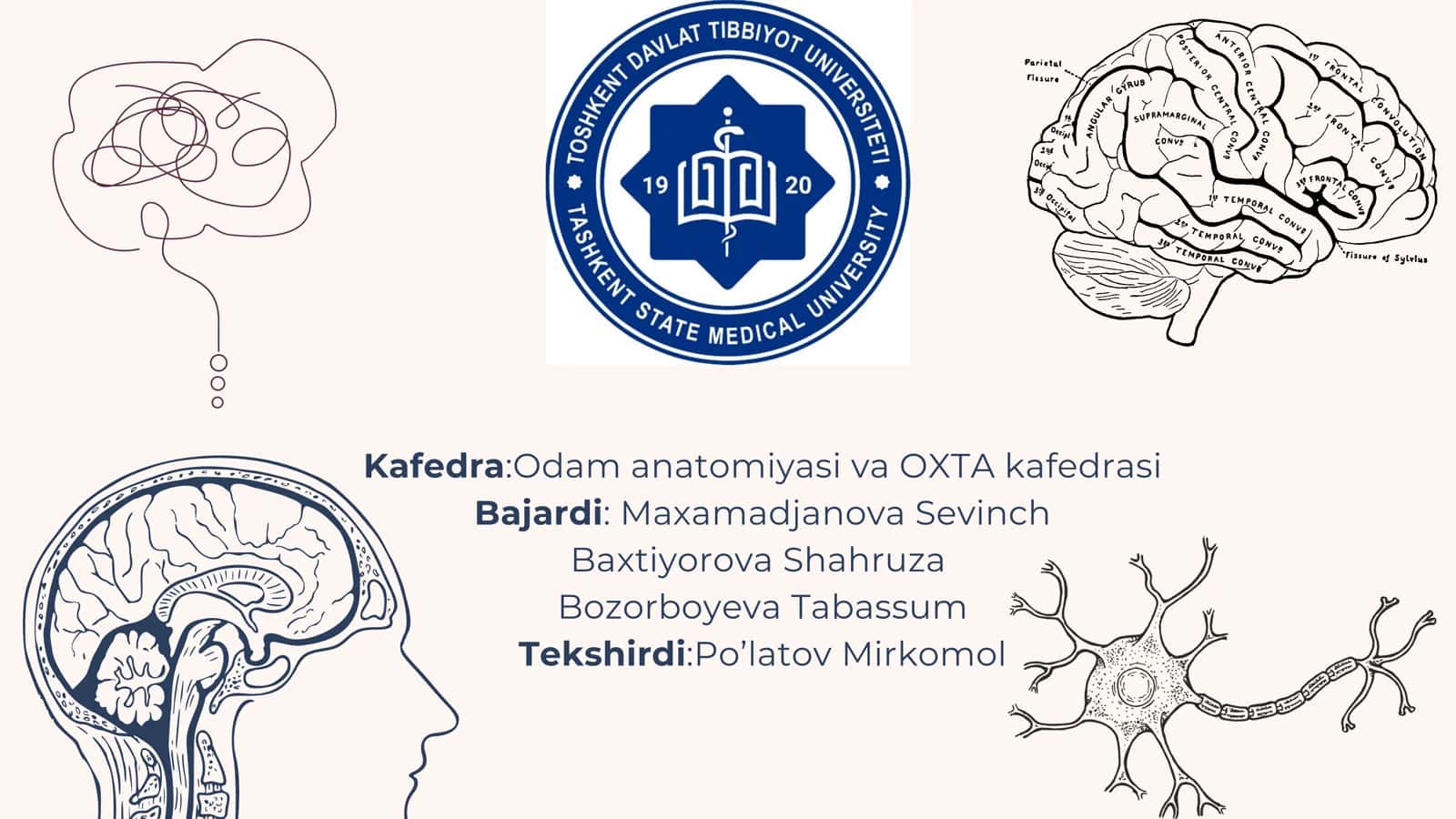 Elka chigalining hosil bo‘lishi va uning qisqa shoxlari. Elkachigalining uzun shoxlari. Qo‘l terisining innervatsiyasi