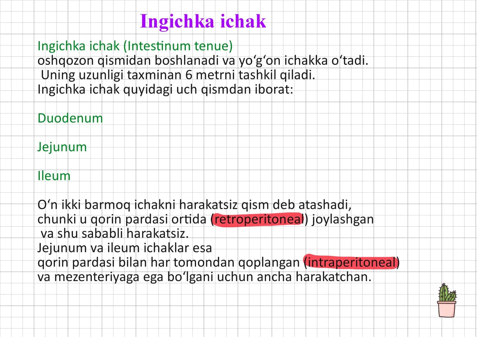Duodenum ileum yeyunum haqida toliq