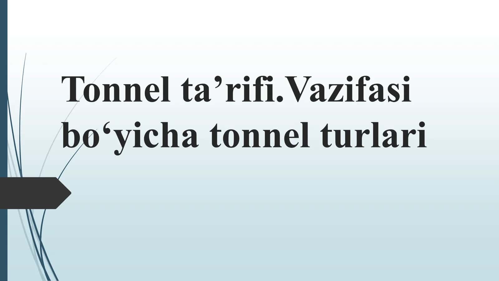 Tonnel ta’rifi.Vazifasi bo‘yicha tonnel turlari