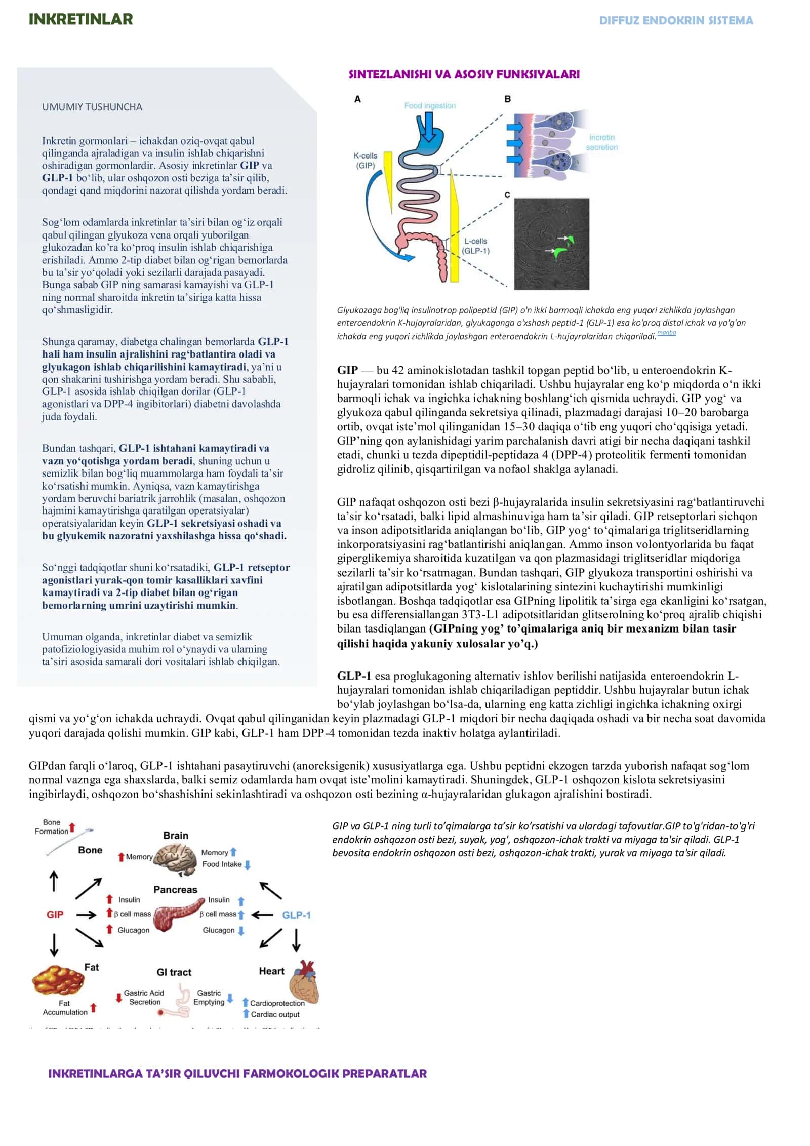 INKRETINLAR DIFFUZ ENDOKRIN SISTEMA