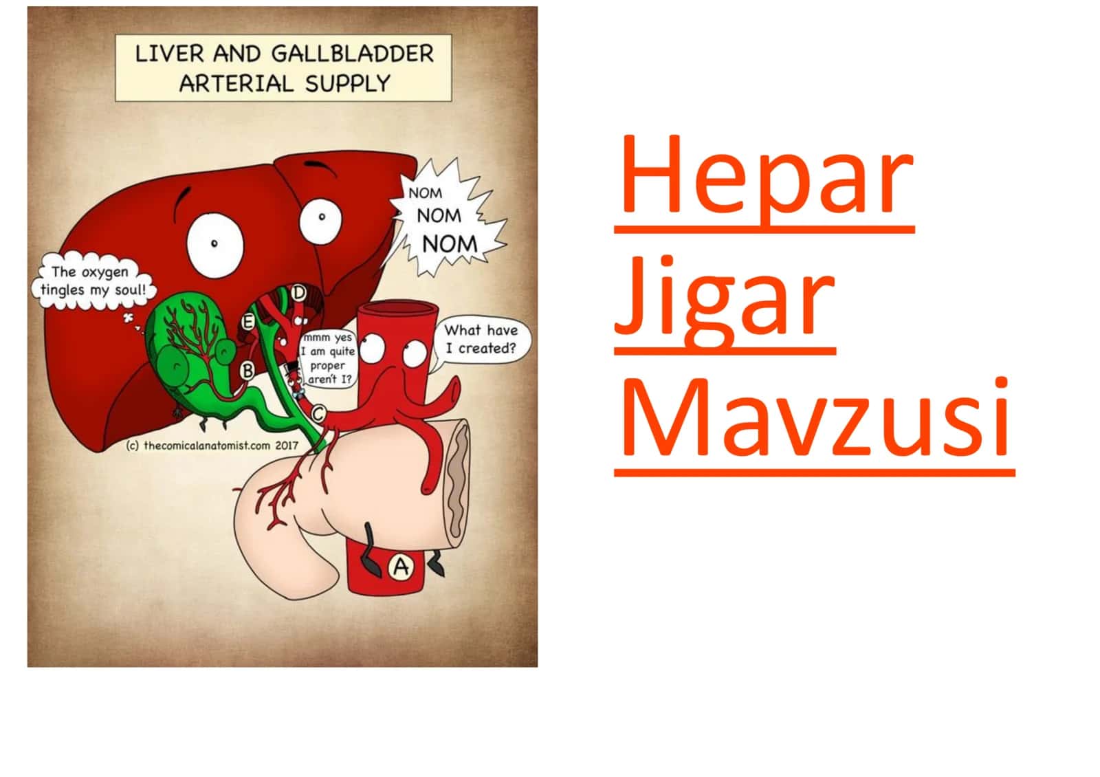 Jigar mavzusi