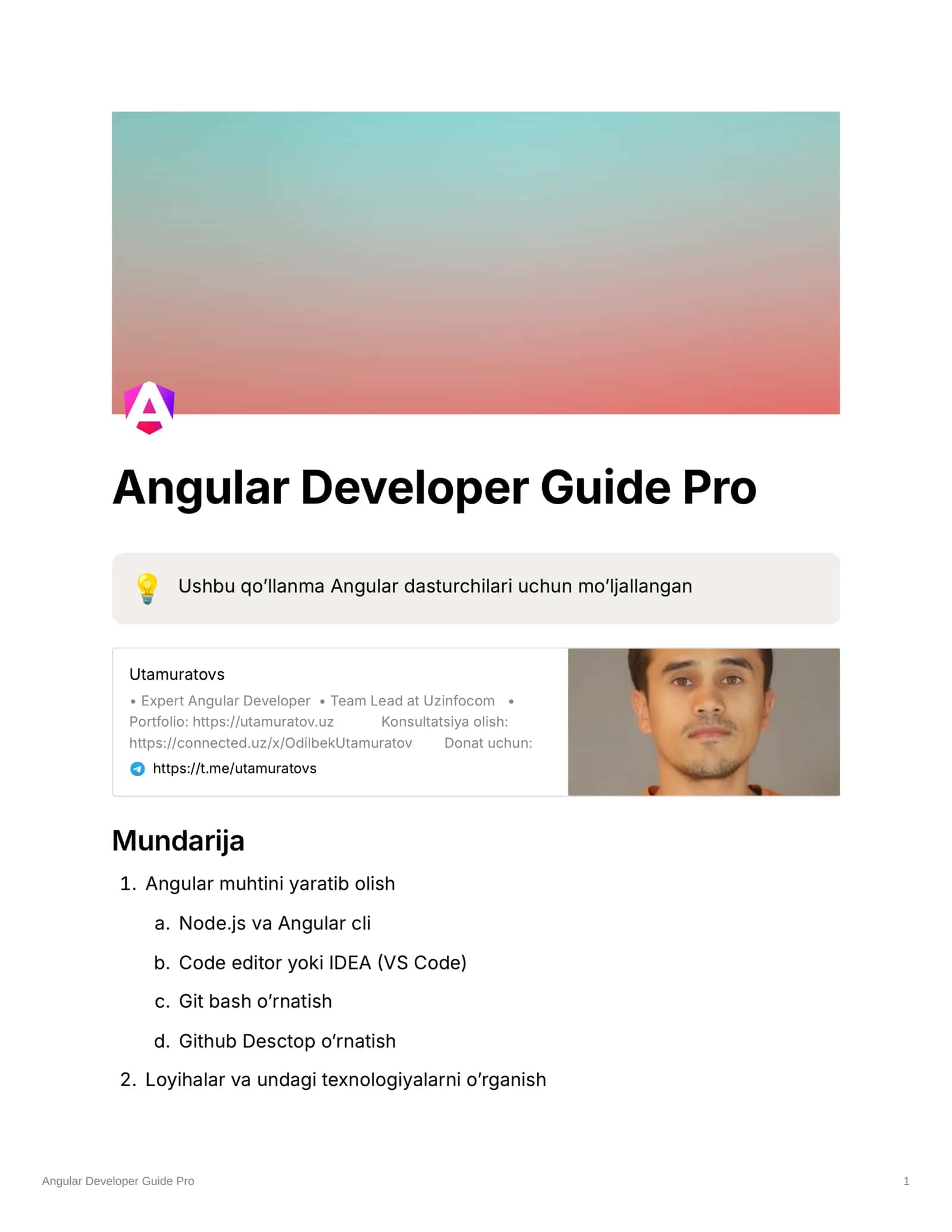 Angular Developer Guide Pro v1