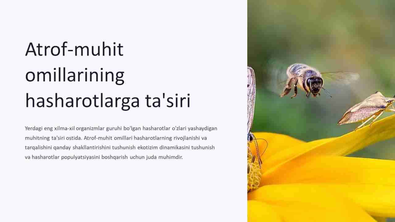 Hasharotlarning rivojlanishi va tarqalishiga ekologik omillarning ta’siri