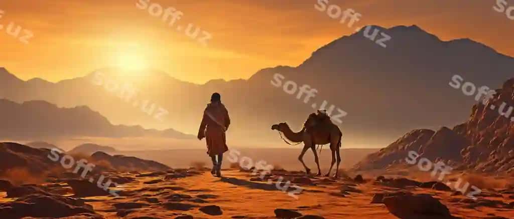 Cho'li yosh emiratiy g'amchaga boshqaradi. | Desert young emirati is leading camel