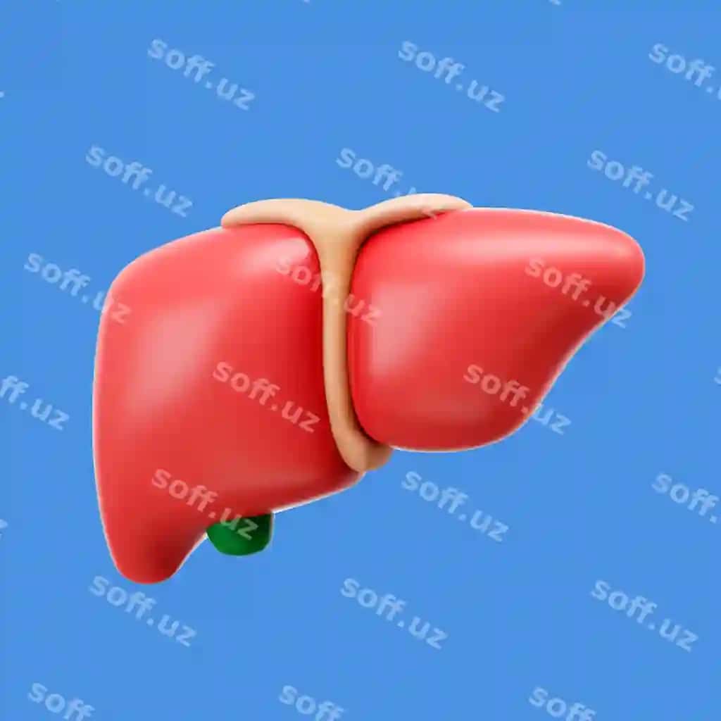 3d renderlangan inson tanasi ikonasi | 3d rendering human body icon