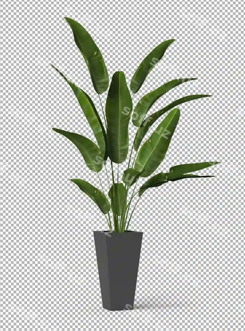 Render ajraltirilgan bino izometric old tomondan ko'rinish shaffof devor premium | Render isolated plant isometric front view transparent wall premium