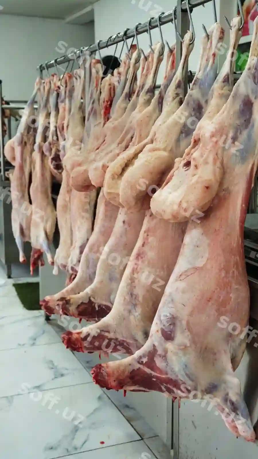 Qassob do'koni go'sht ashiriladigan qozonlar | Butcher shop meat hanging hooks
