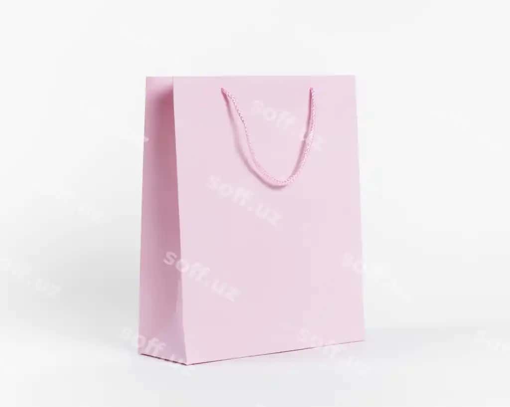 Qog'oz sumka konseptsiyasi bilan namuna | Paper bag concept with mock up