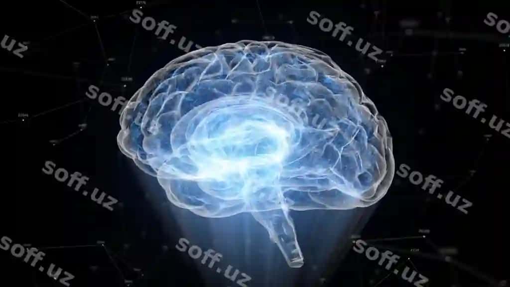 Inson boshi nurli zarralarni hosil qildi. | Human brain formed luminous particles