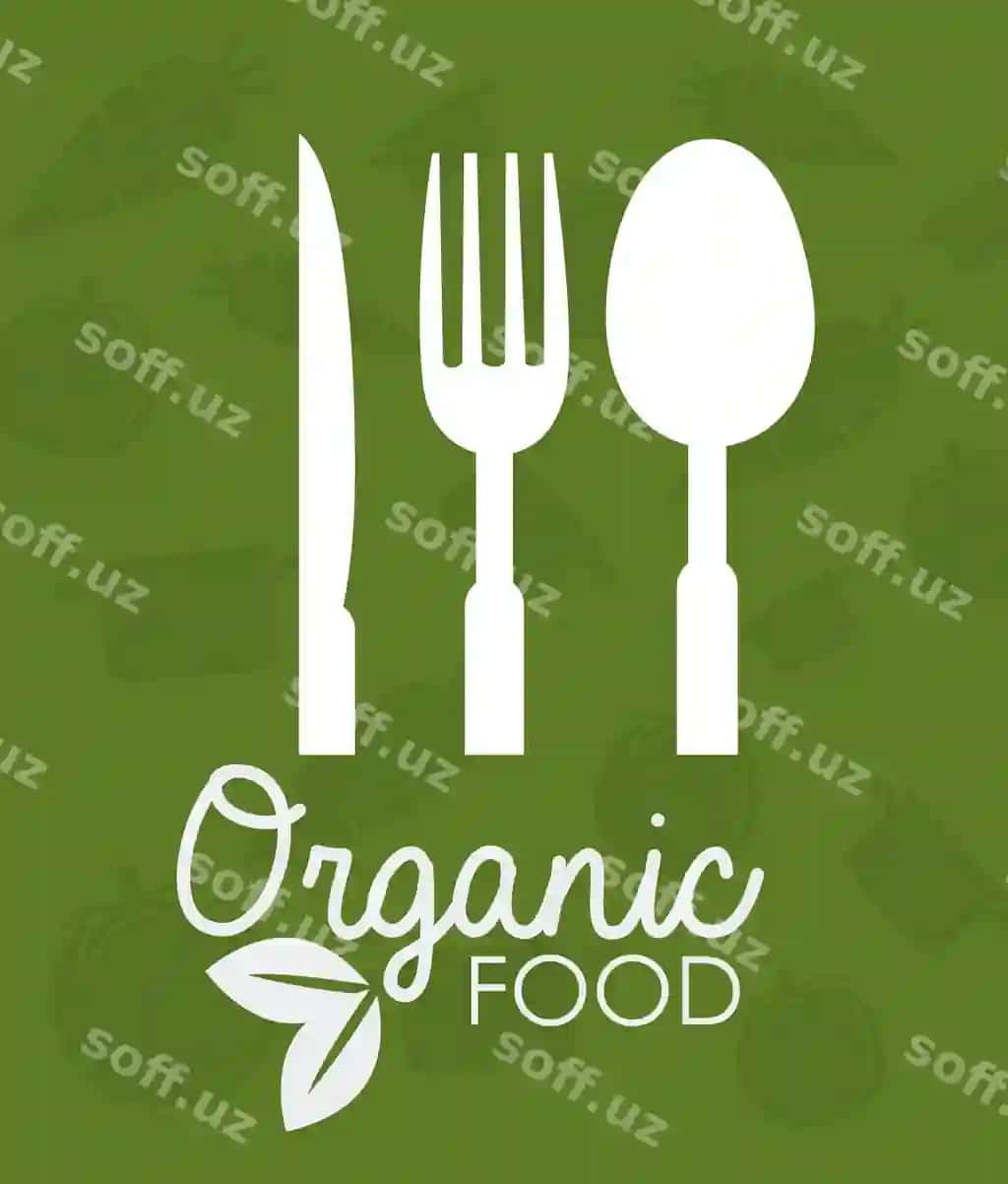 Ovqat dizayni | Food design