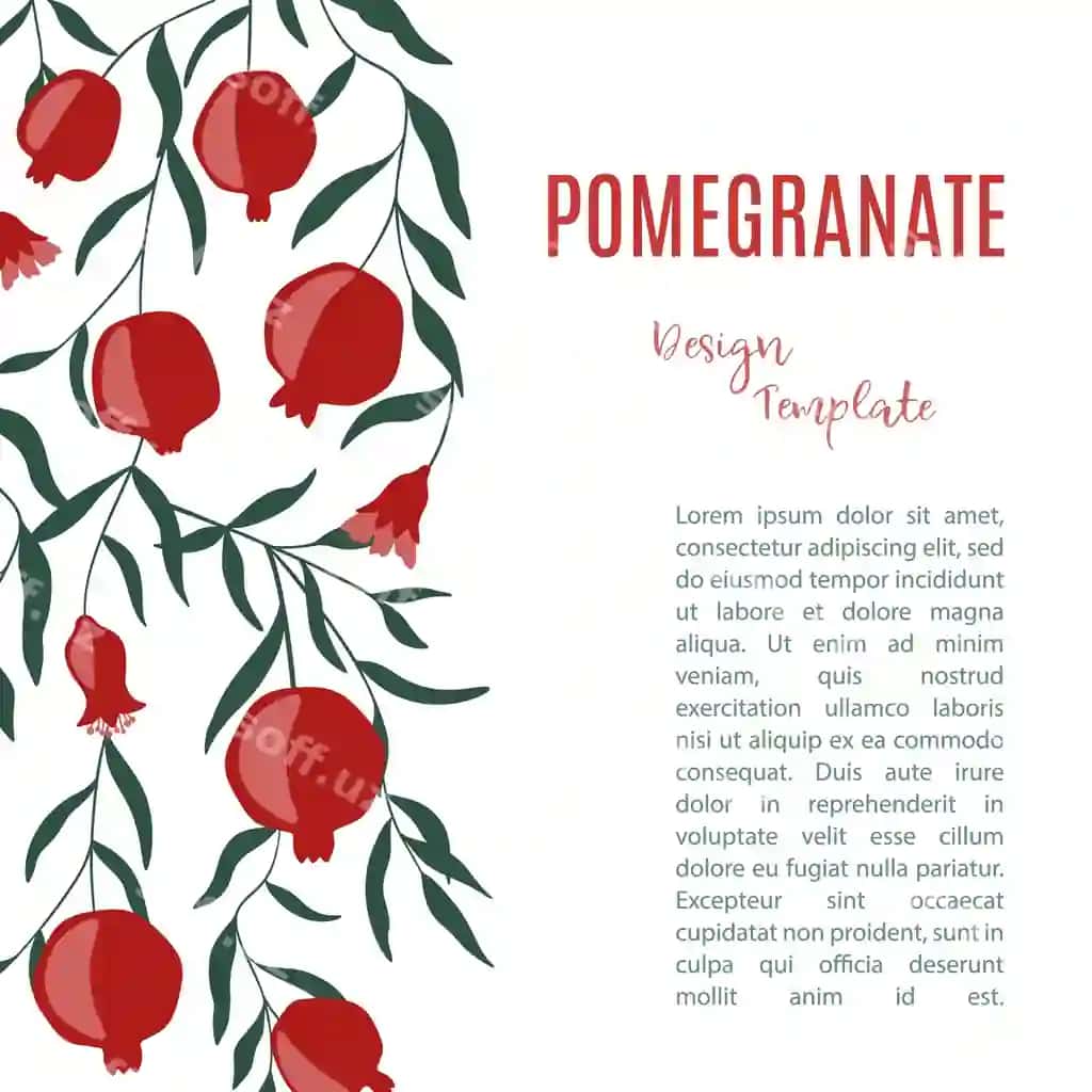 Dizayn shabloni anorlar bilan | Design template with pomegranate fruits