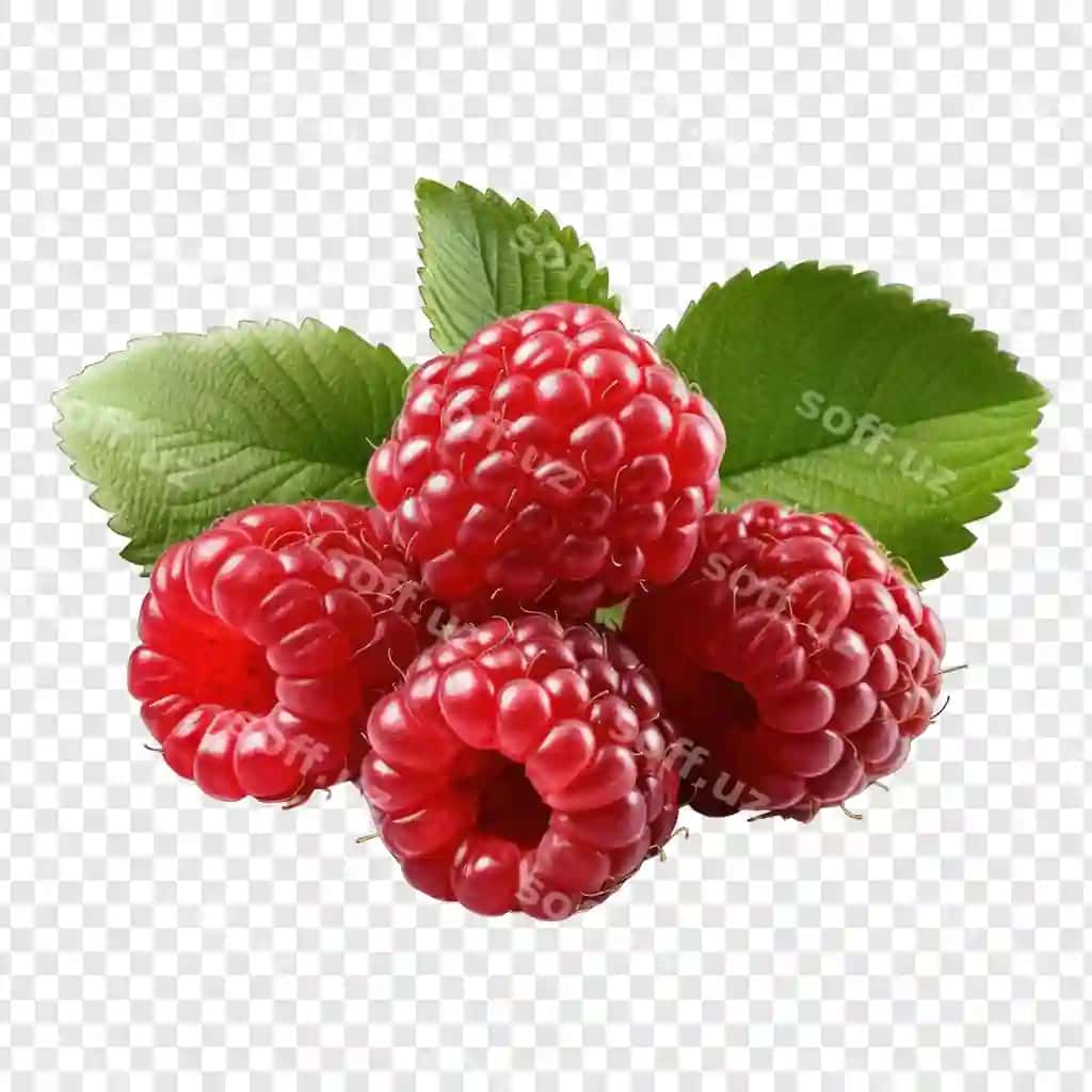 Oq fondagi generatsiya qiluvchi malina uslubidagi png illustratsiyasini ajratish | Isolate raspberry style png with white background illustration generative