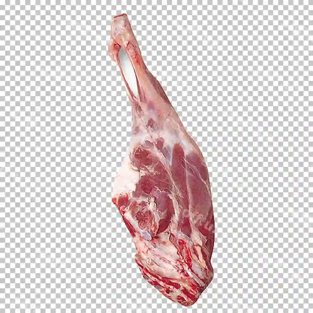 Gosht ovqat | Meat food