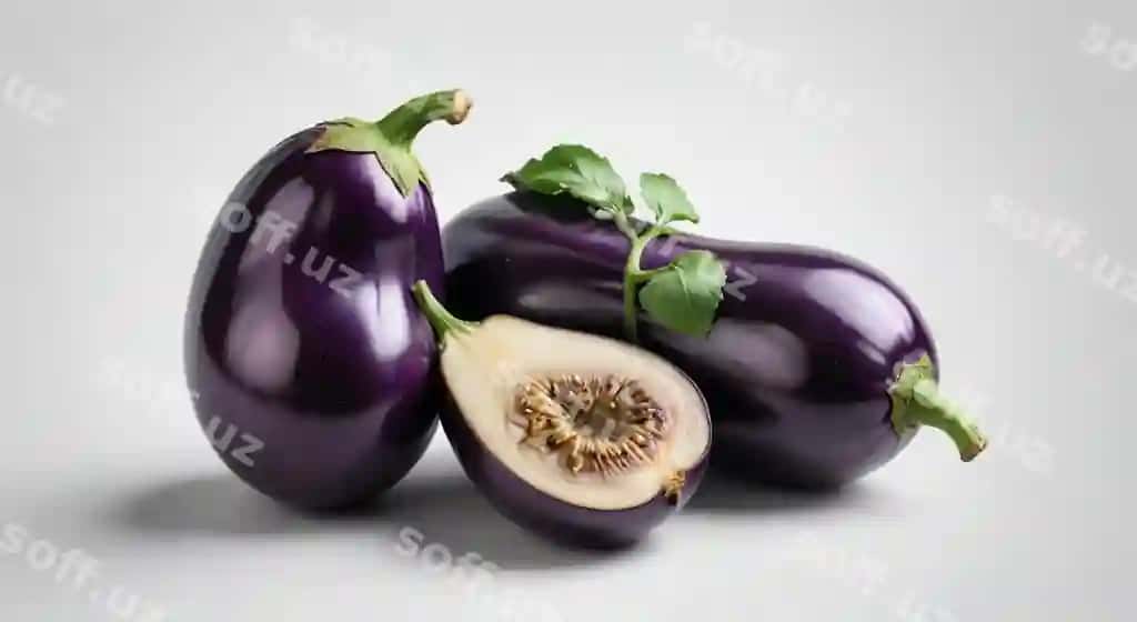 Ikki baqaliy, har biri yaproqli yuqori qismi bilan | Two eggplants with leaf top one with leaf top