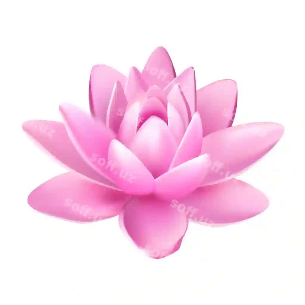 Vektor ajraltirilgan lotus gul aks ettirilgan yorqin gulrang yelliklar bilan | Vector isolated flower lotus with light pink petals with reflection