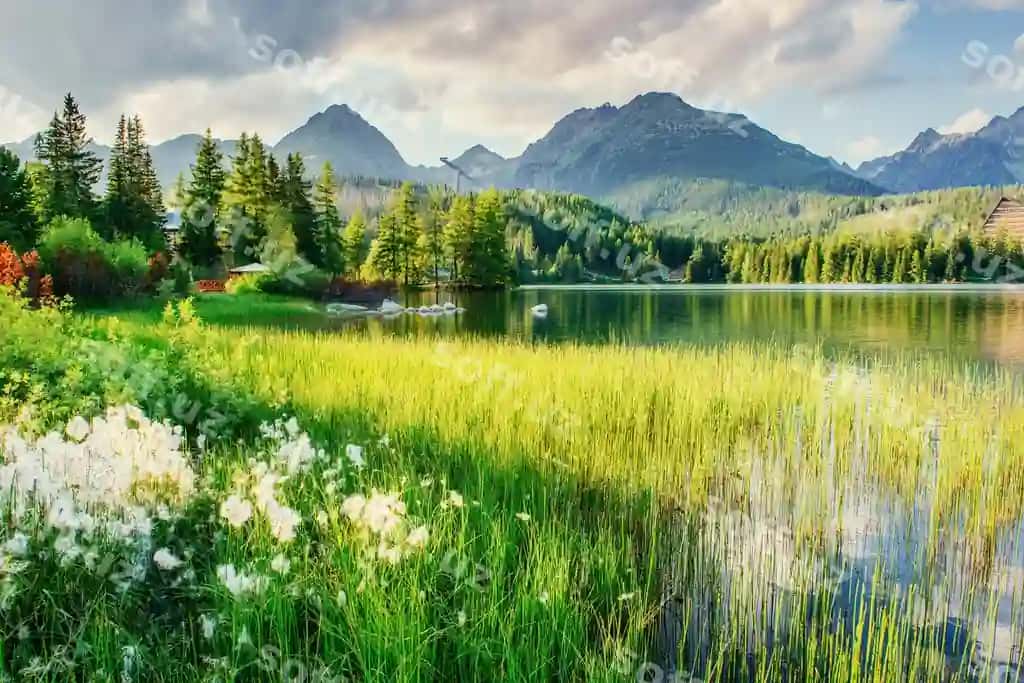 Majestik tog' koiri milliy parki yuqori Tatra | Majestic mountain lake national park high tatra