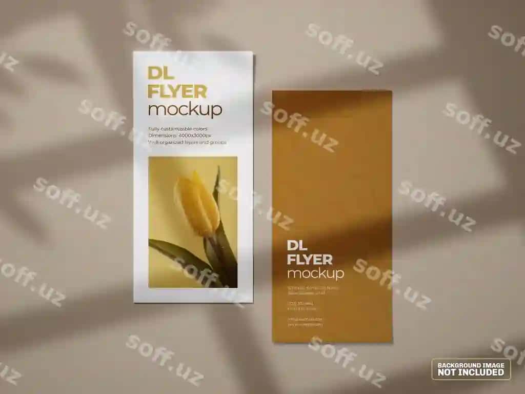 Flyer mockup | Dl flyer mockup