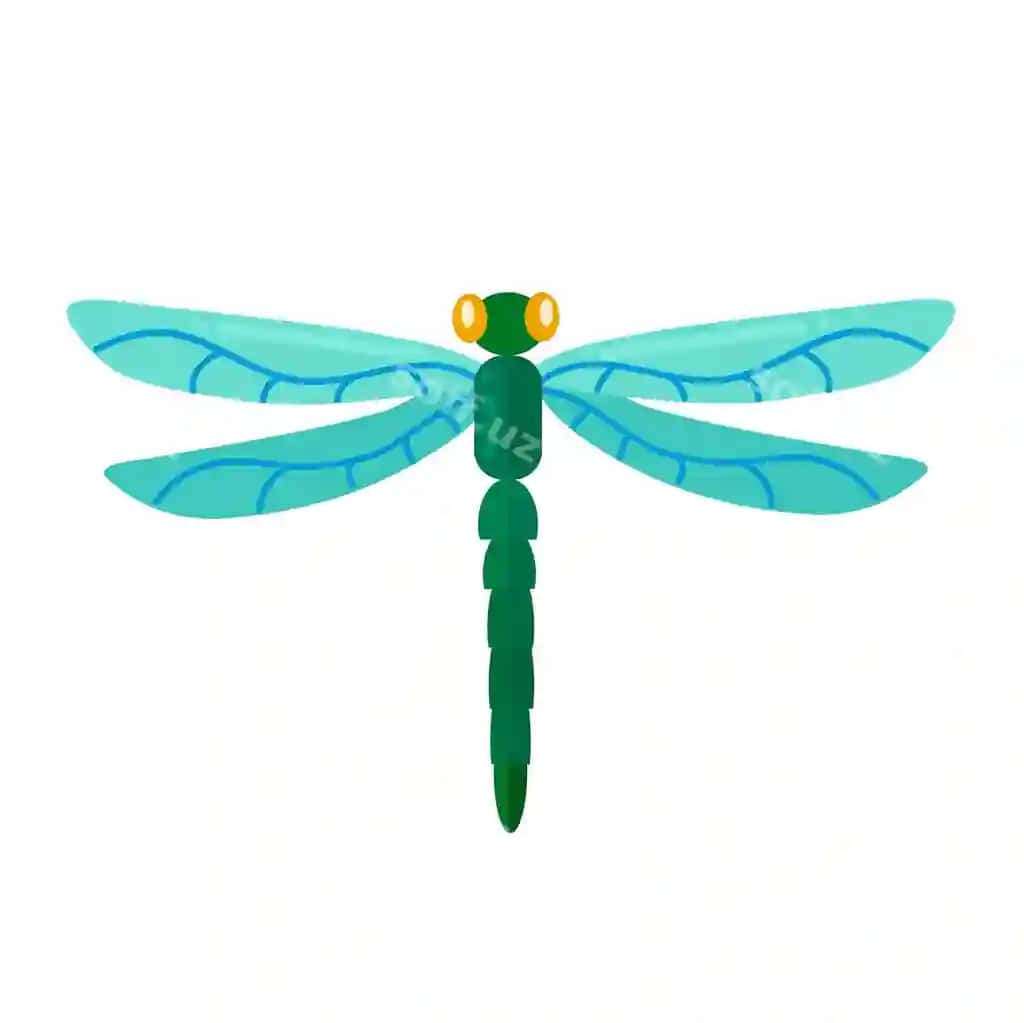 Dragunfly ikonka kliipart ajraltirilgan vektor illustratsiyasi | Dragonfly icon clipart isolated vector illustration