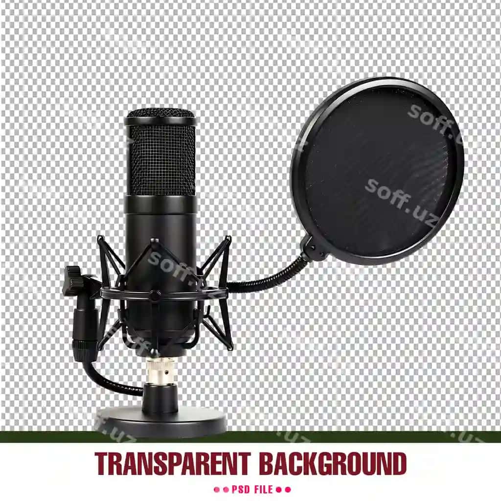 Studiyo kondensator mikrofon pop filtri shok qo'llanma bilan shaffof | Studio condenser microphone with pop filter shock mount transparent
