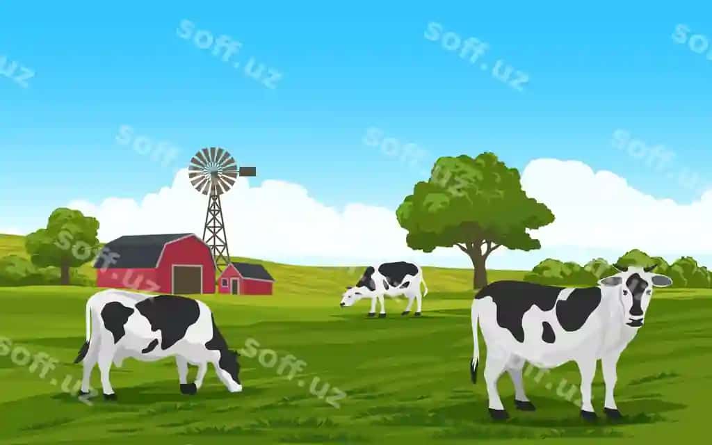 O't yiyotgan sigirlar yashil maydon qishloq uyi shamol milli bilan | Grazing cows green field with farmhouse windmill