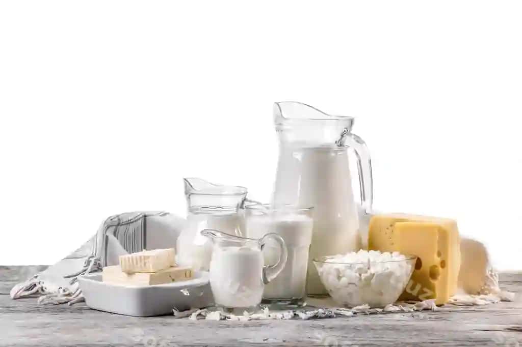 Yangi sut mahsulotlari | Fresh dairy products