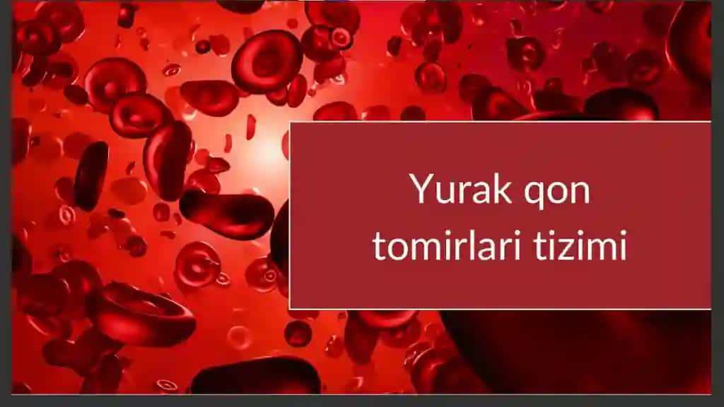 Yurak qon tomirlar tizimi