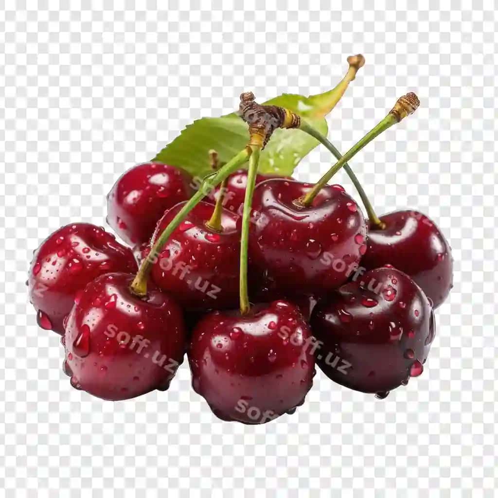 Ajraltirilgan olcha uslubi png oq orqa fonda minimalistik generativ | Isolated cherry style png with white background minimalist generative